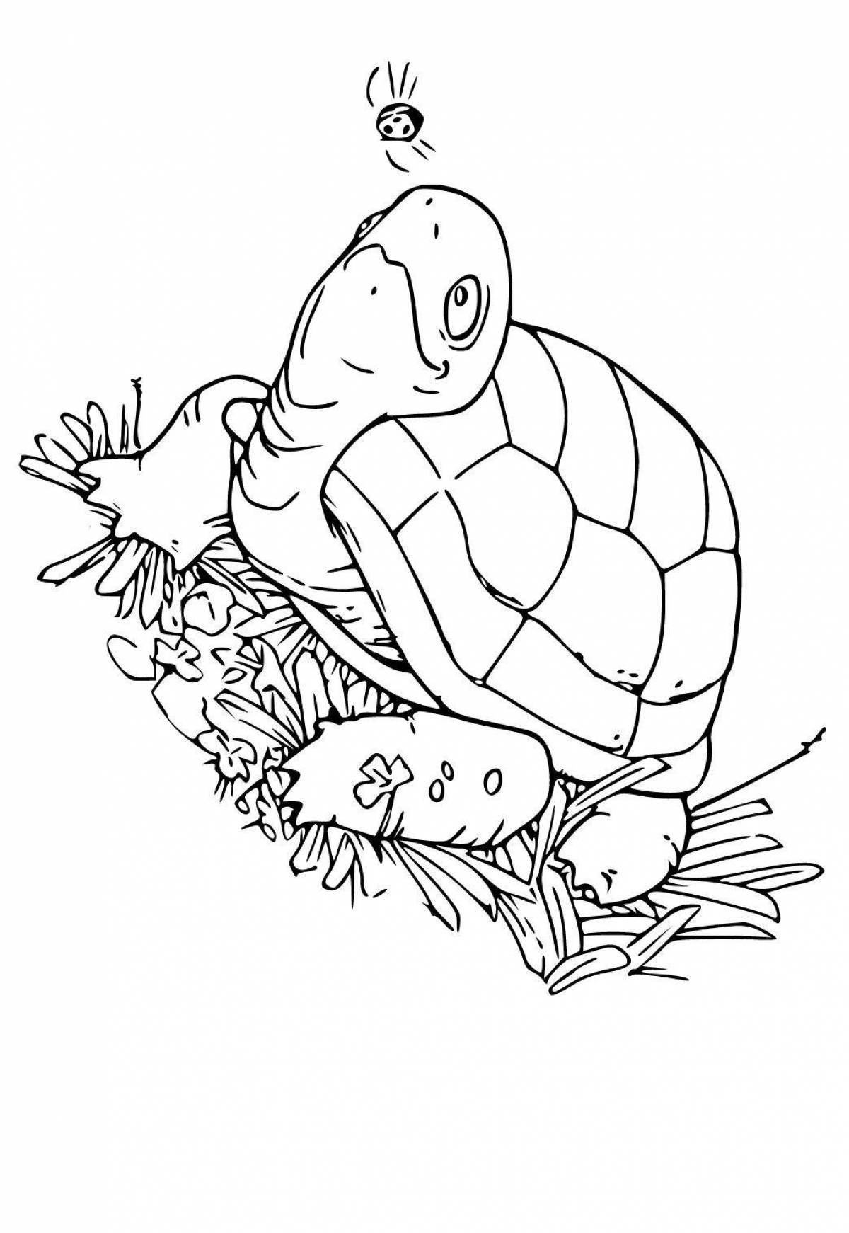 Восхитительная раскраска черепаха тортилья