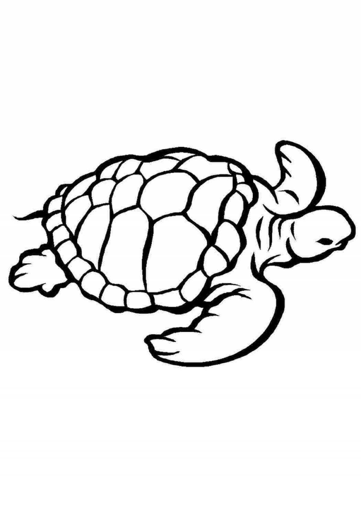 Впечатляющая раскраска черепаха тортилья