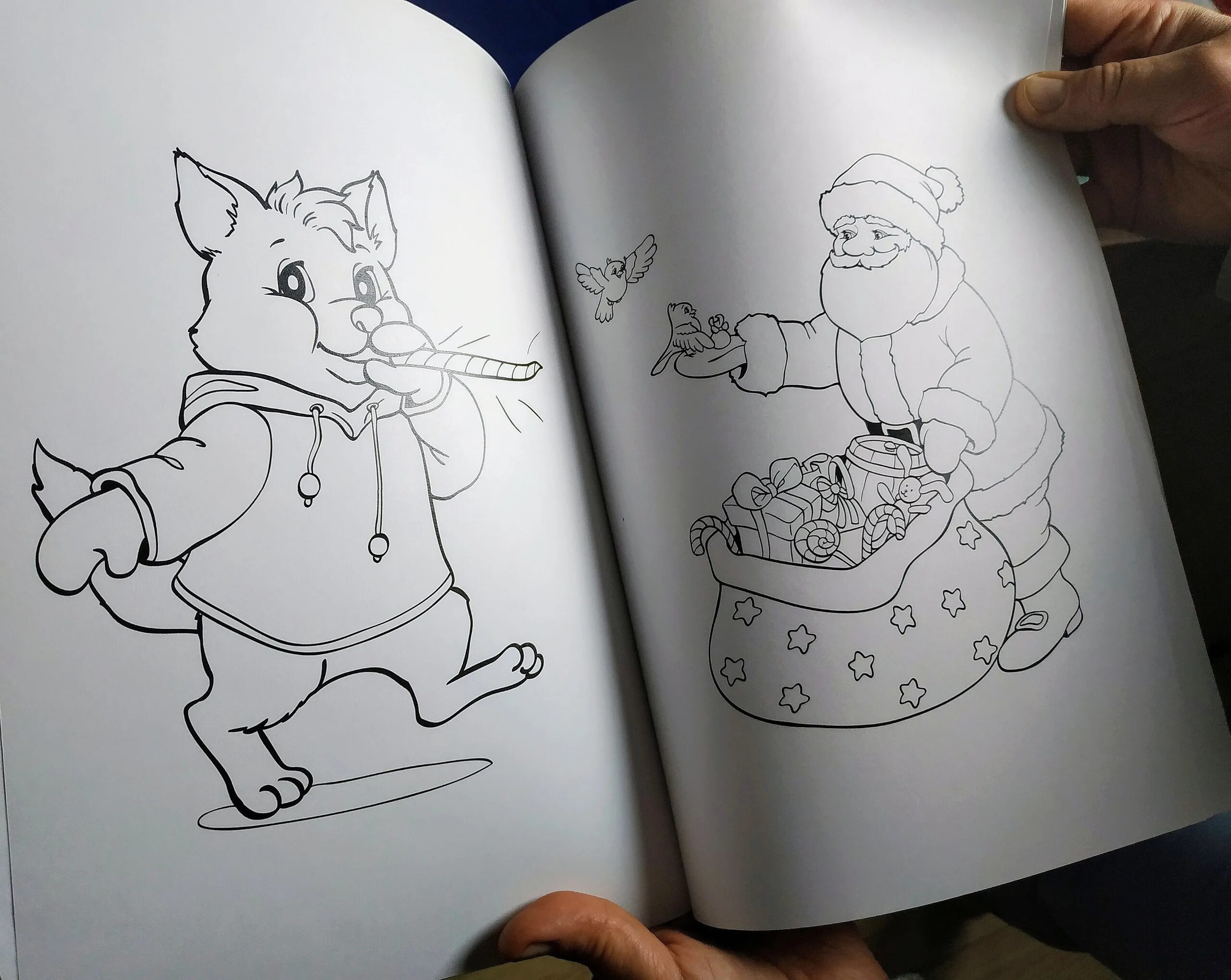 Royal coloring book magic book