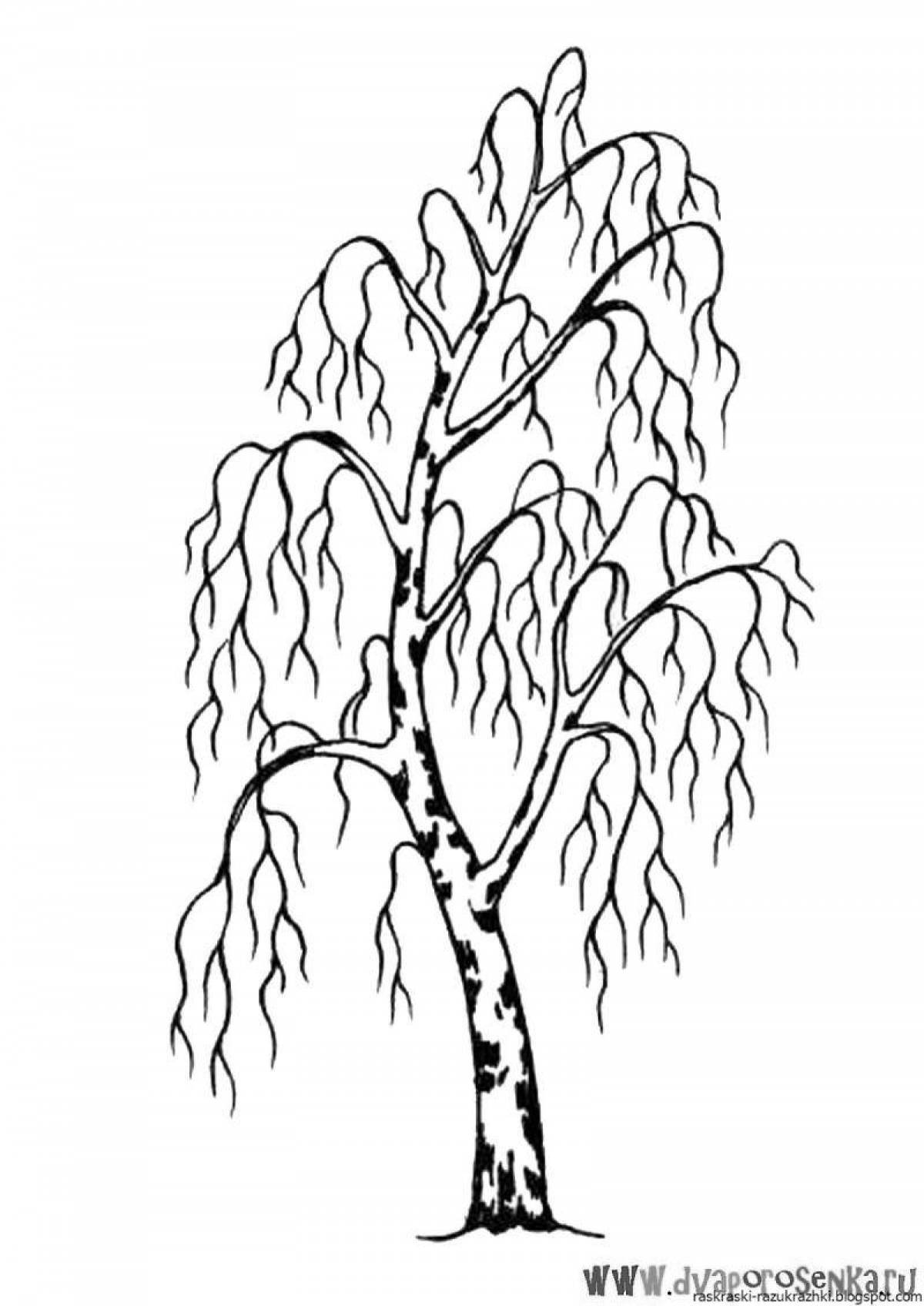 Coloring cute white birch