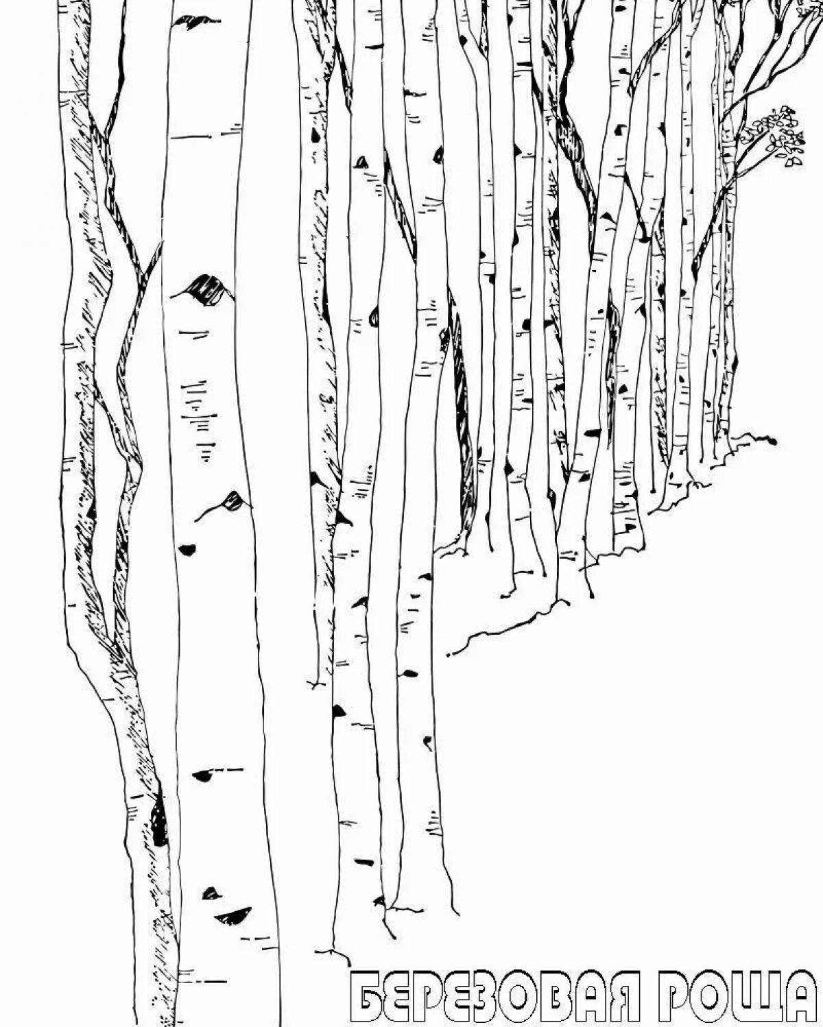 Coloring page graceful white birch