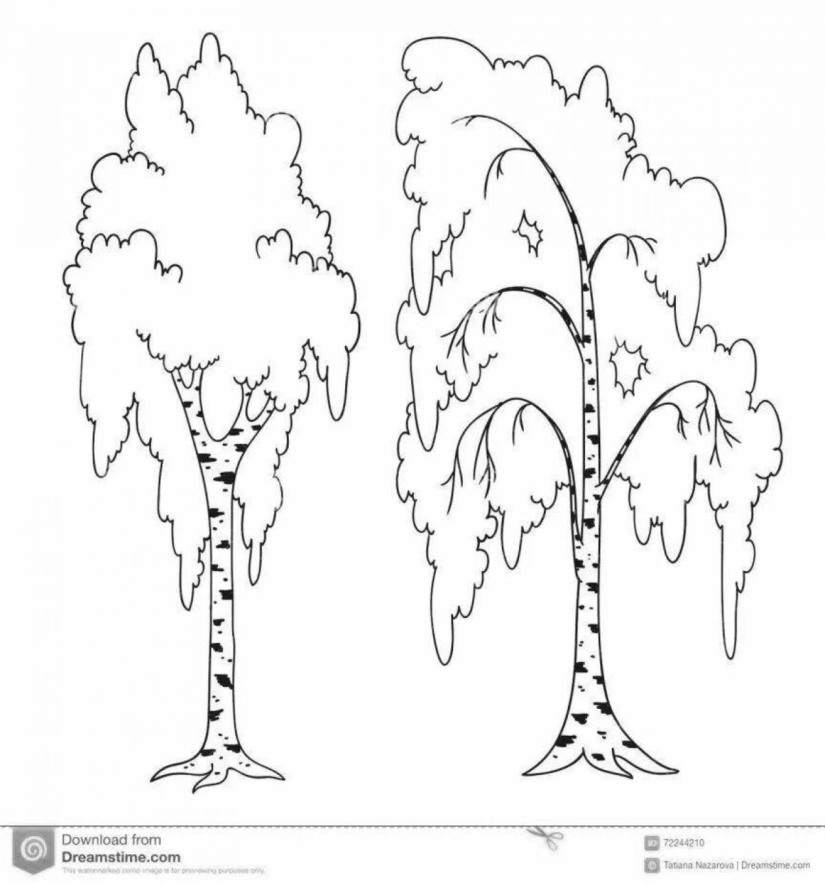 Coloring page of spectacular white birch