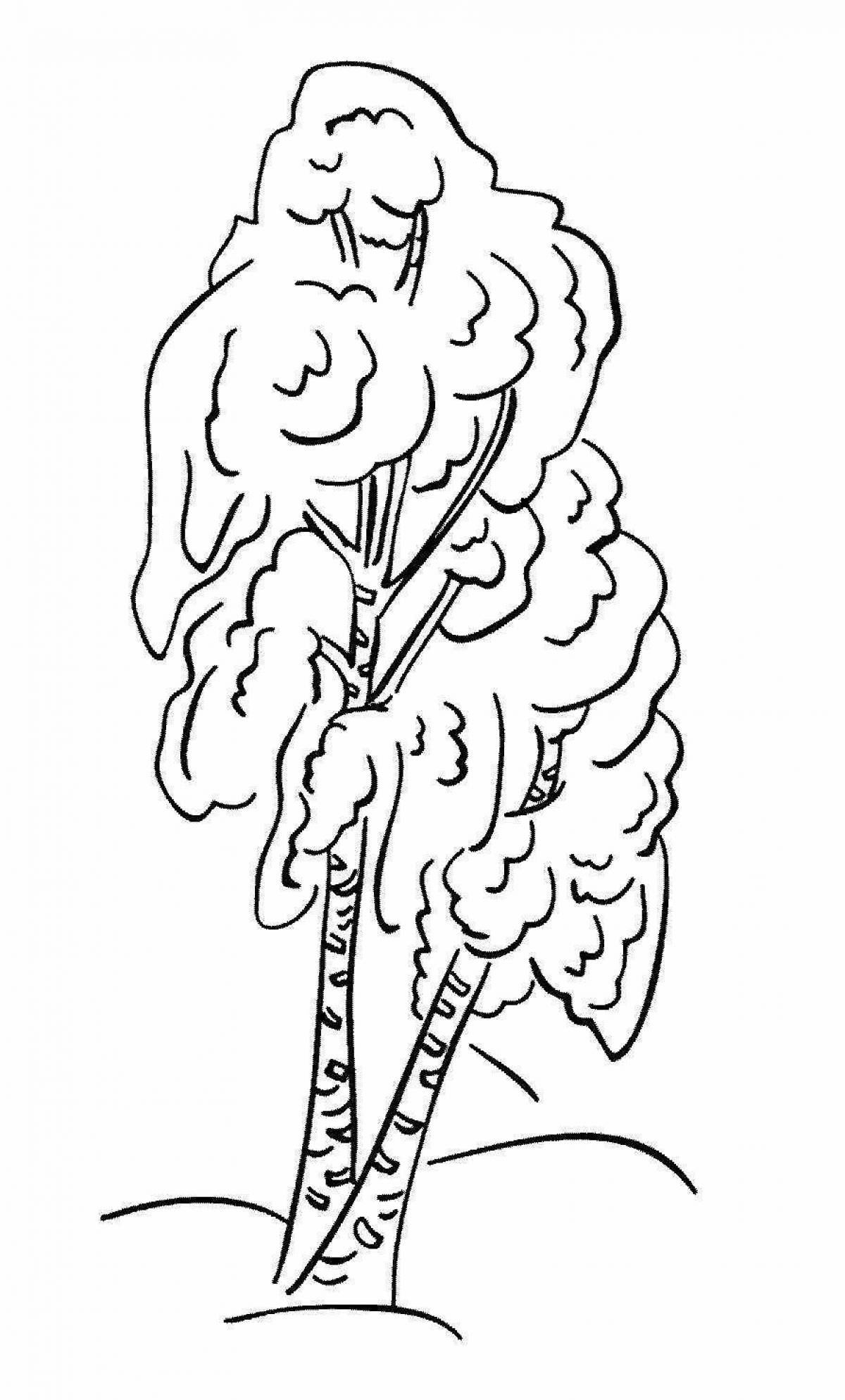 Luxury white birch coloring page