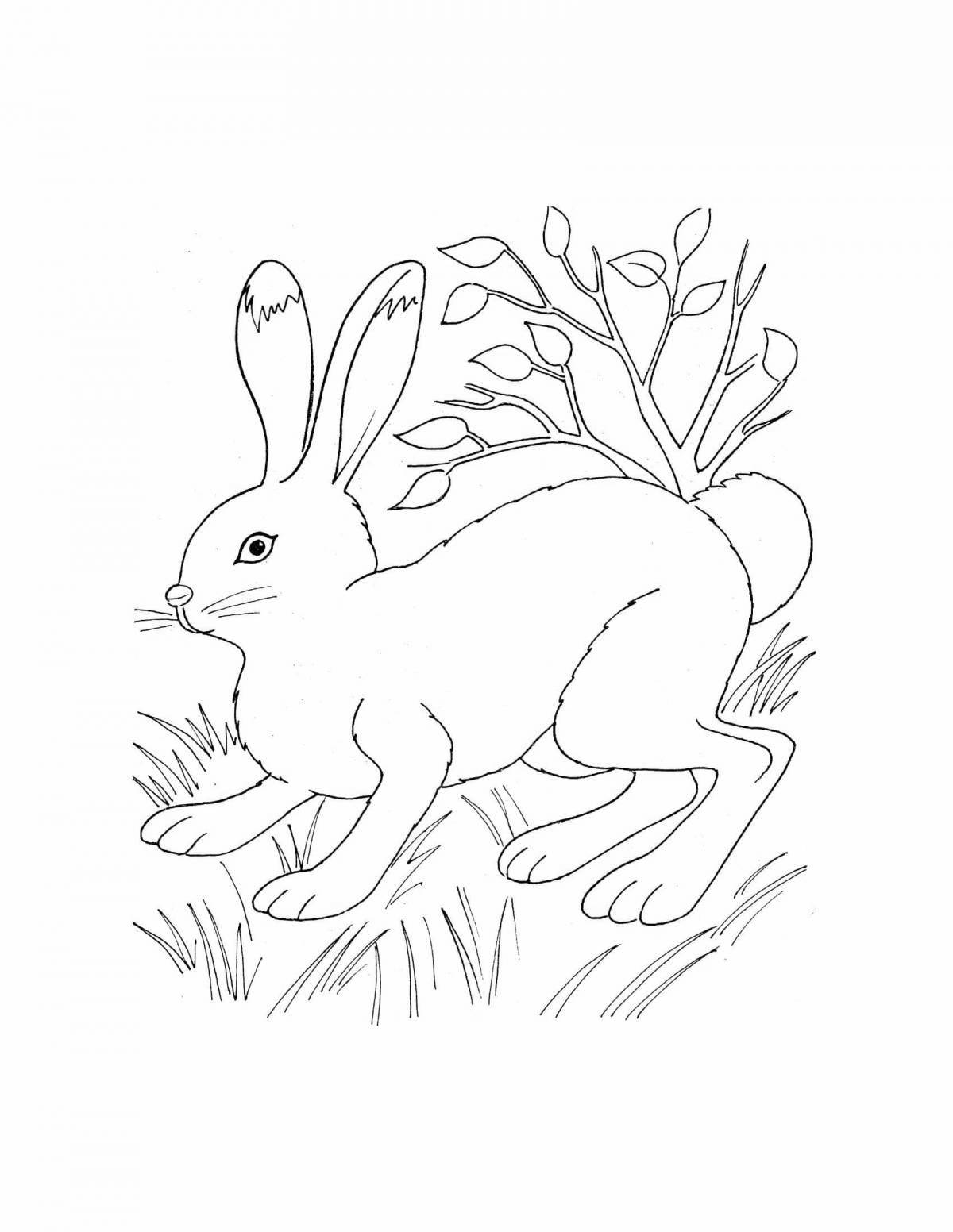 Coloring book joyful hare