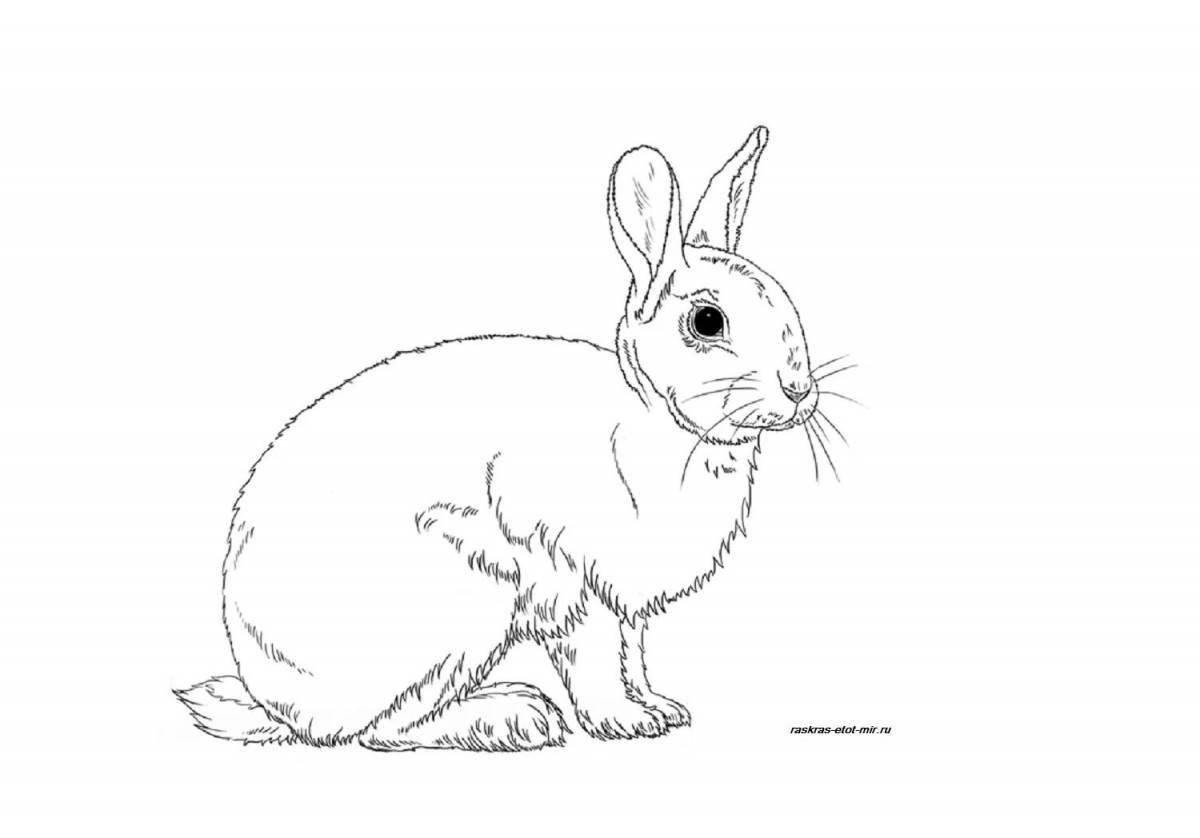 Анимированная страница раскраски зайца