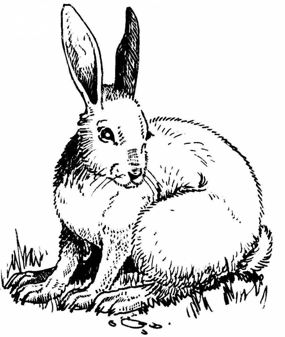 Coloring book glowing hare
