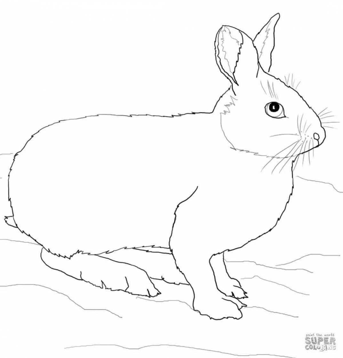 Radiant hare coloring page