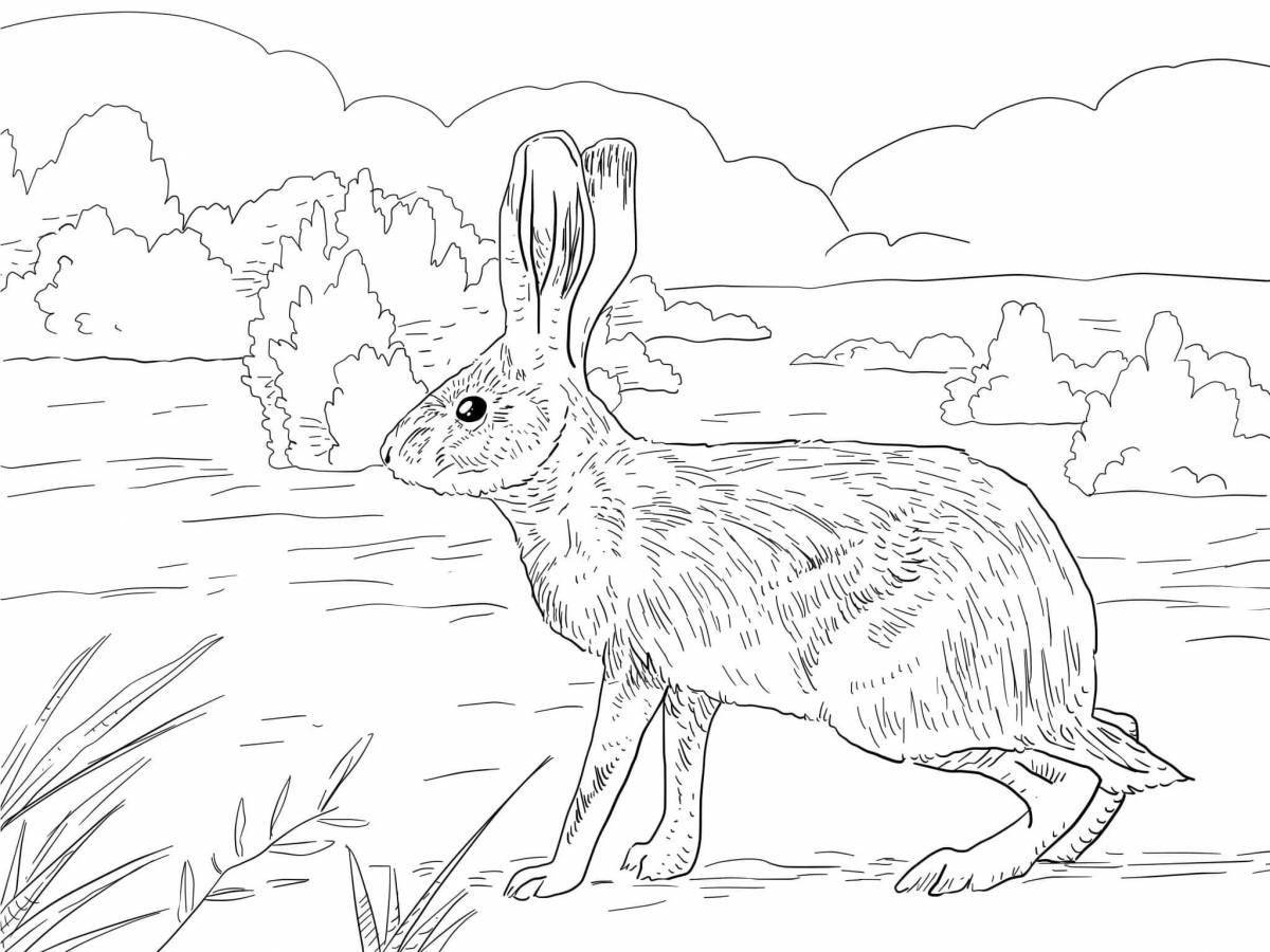 Fancy hare coloring page