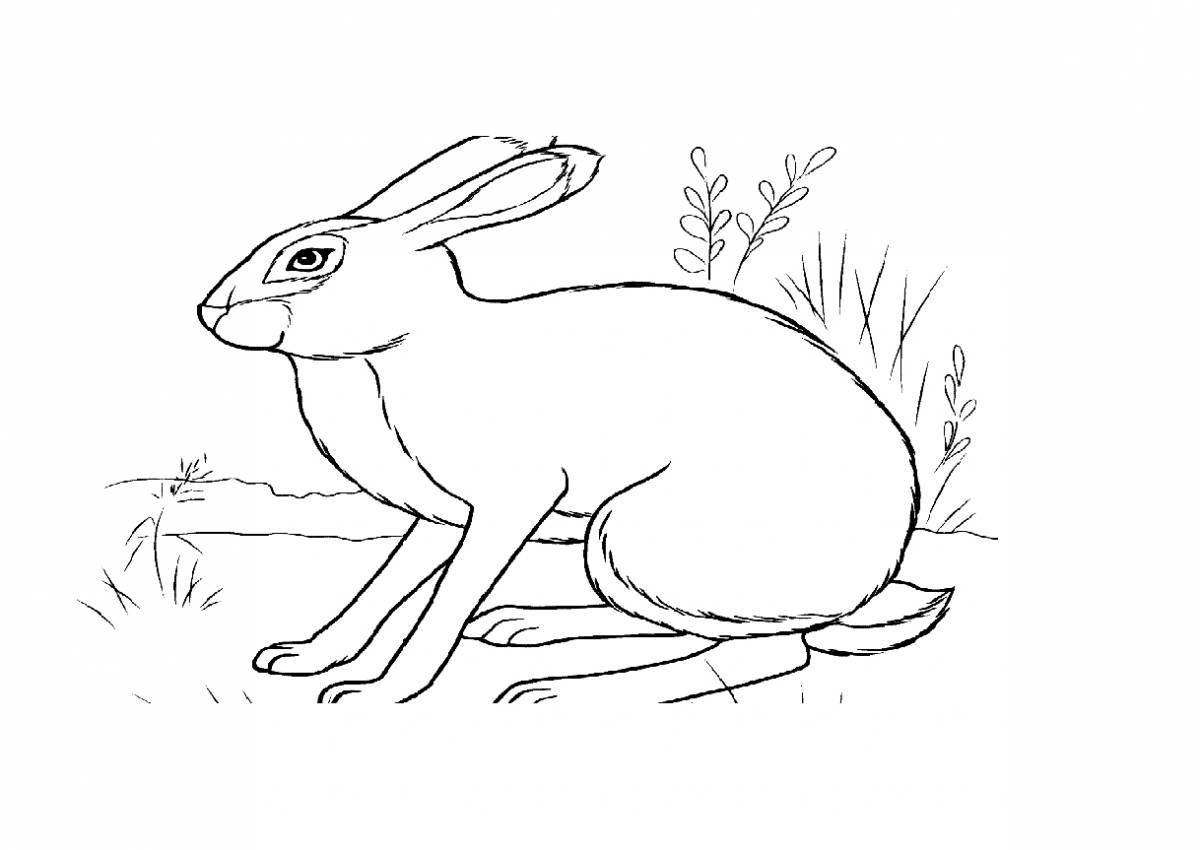 Blessed hare coloring page