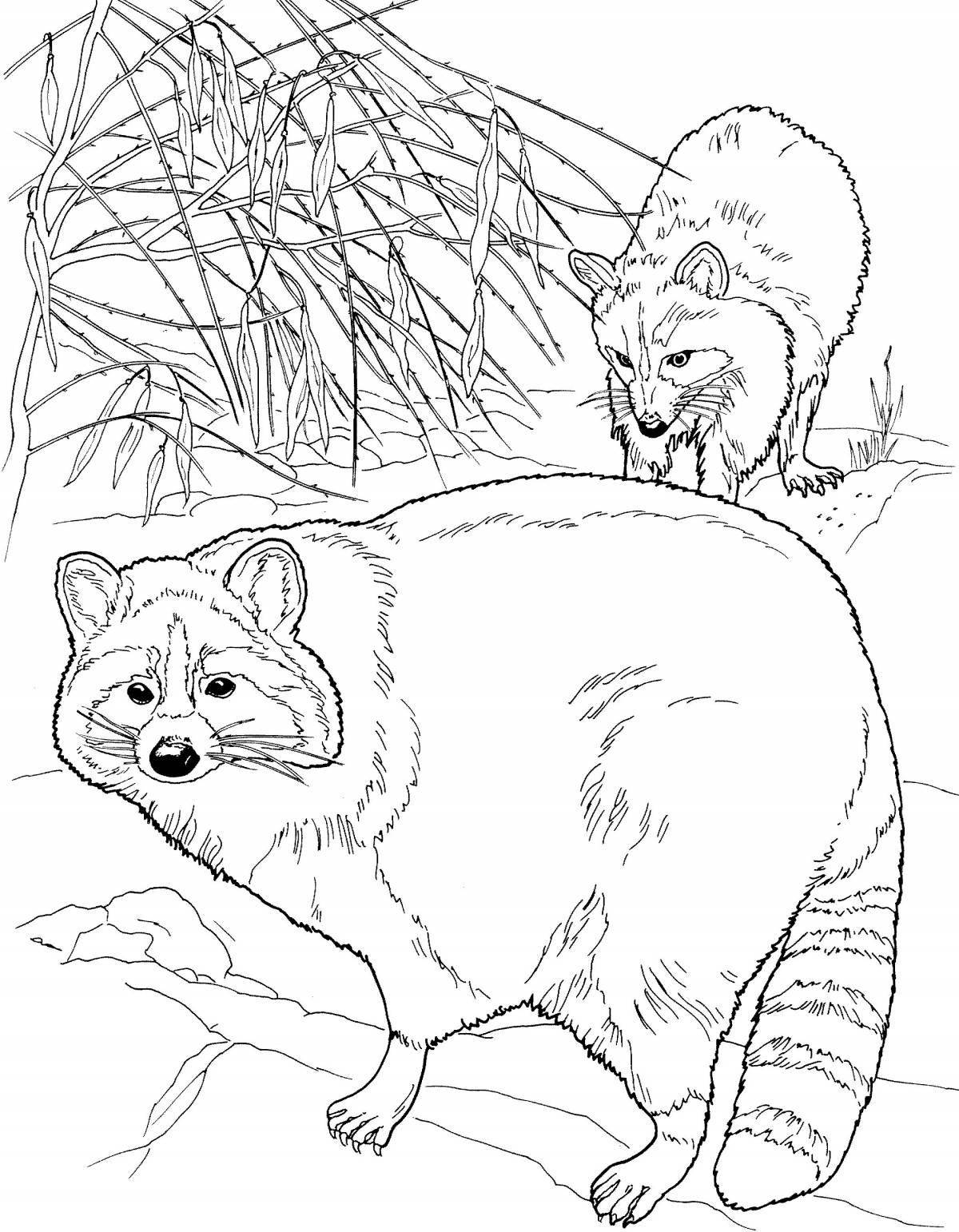 Coloring page mischievous raccoon dog