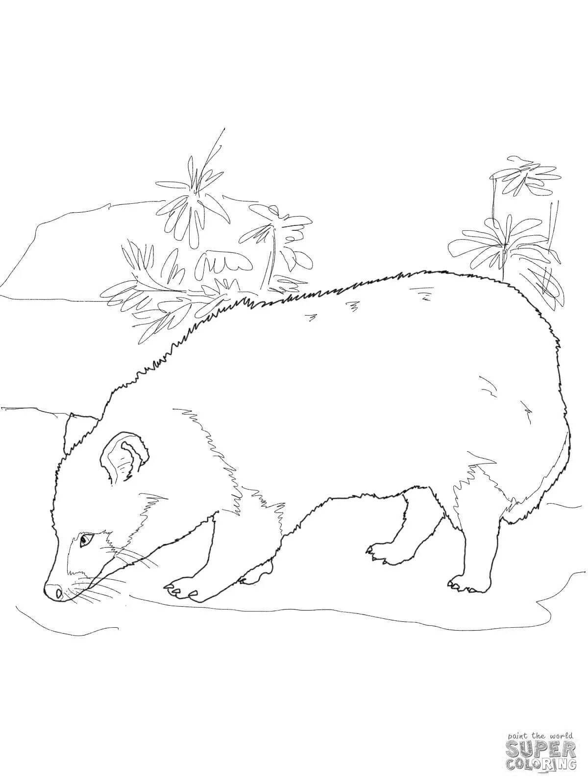 Coloring page friendly raccoon dog