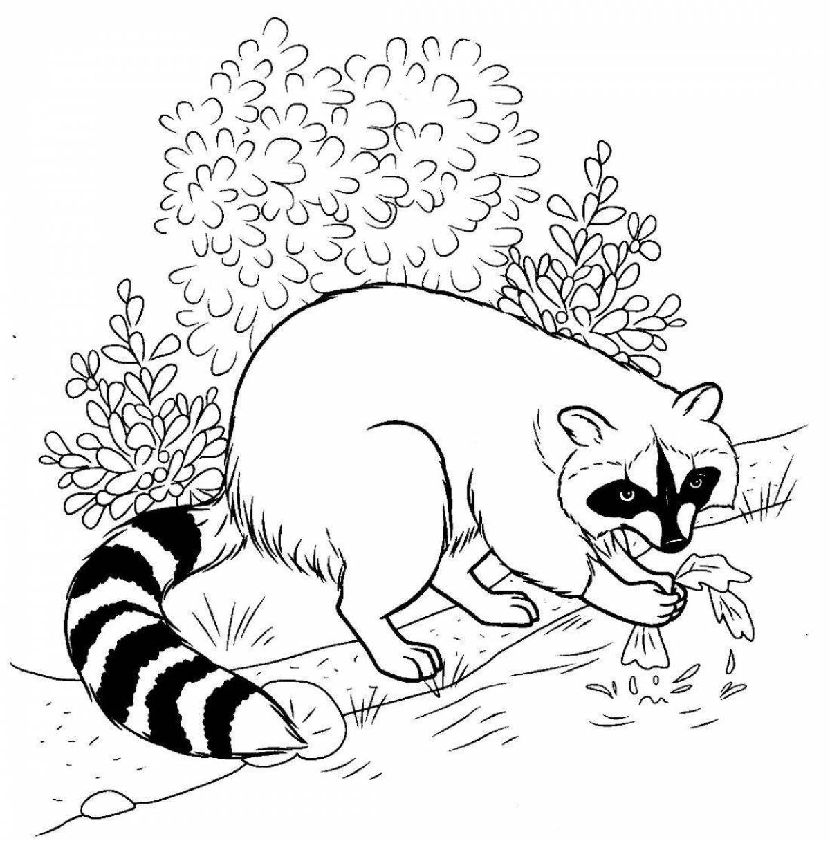 Coloring page fluffy raccoon dog
