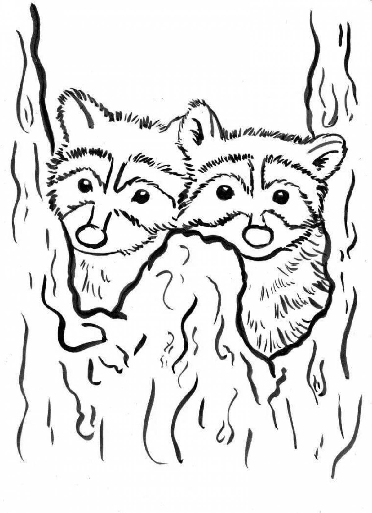 Fancy raccoon dog coloring page