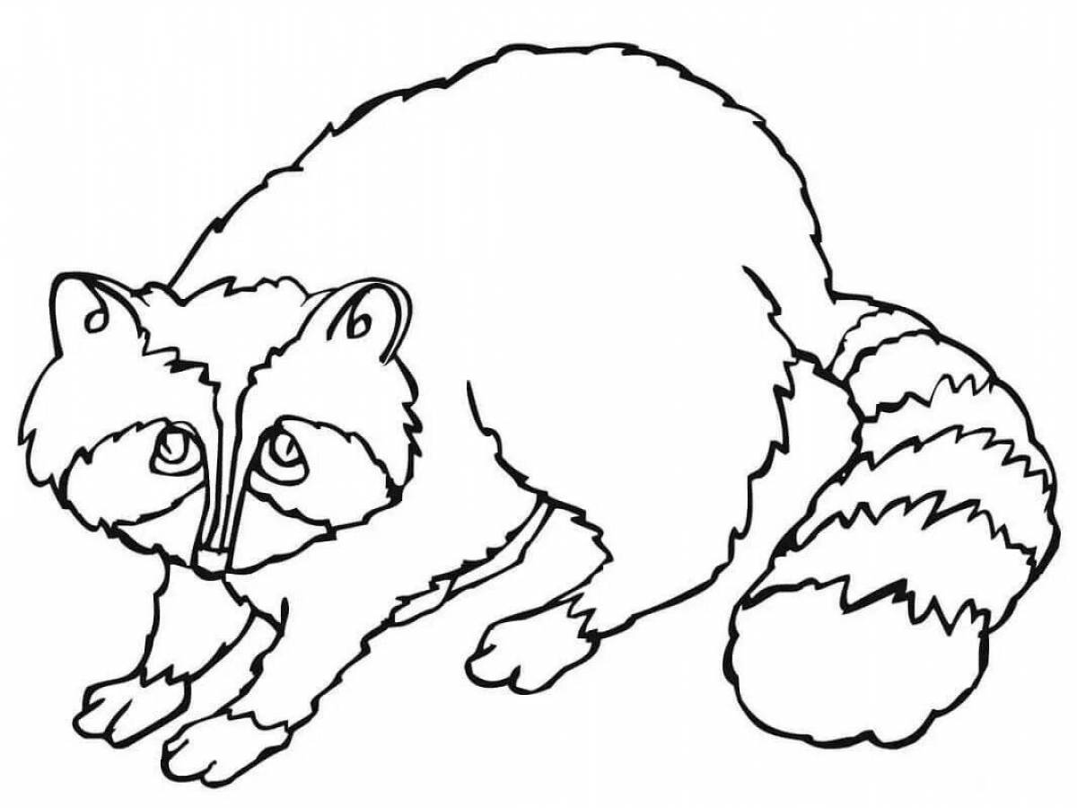 A funny raccoon dog coloring book