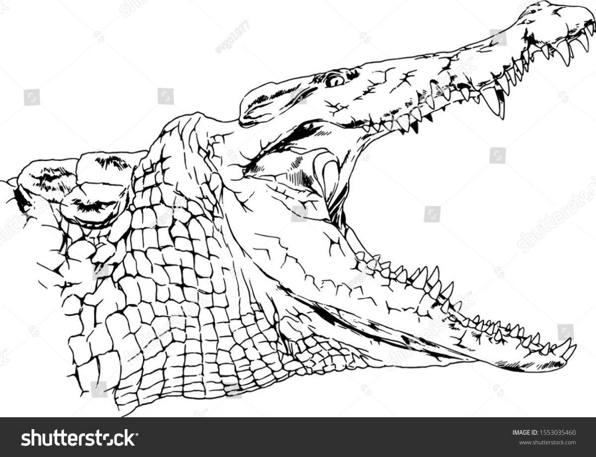 Coloring funny crocodile monty