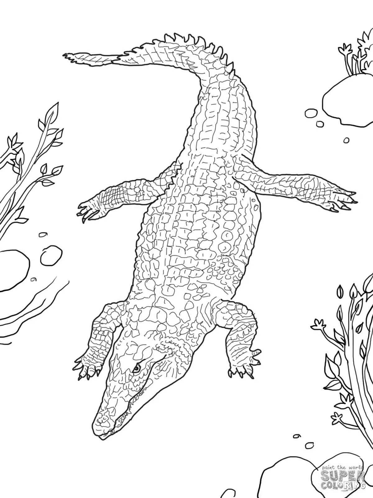 Monty's intriguing alligator coloring book