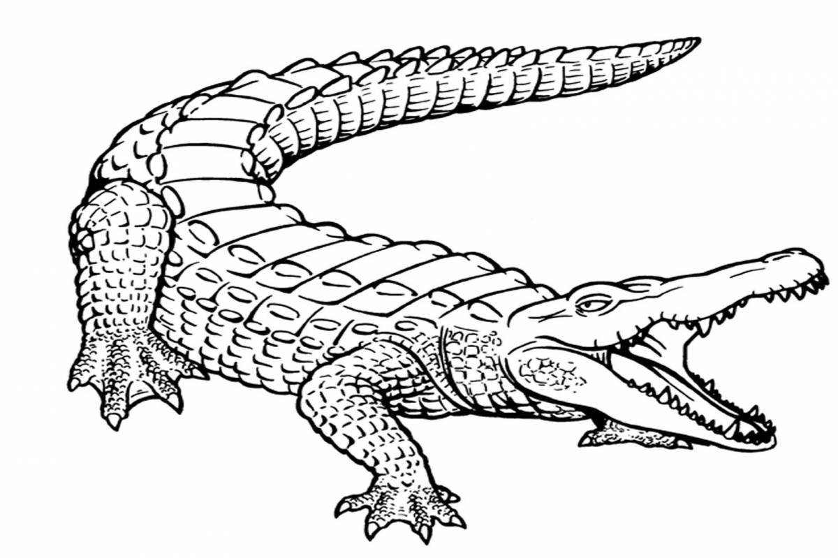Раскраска жирный аллигатор монти