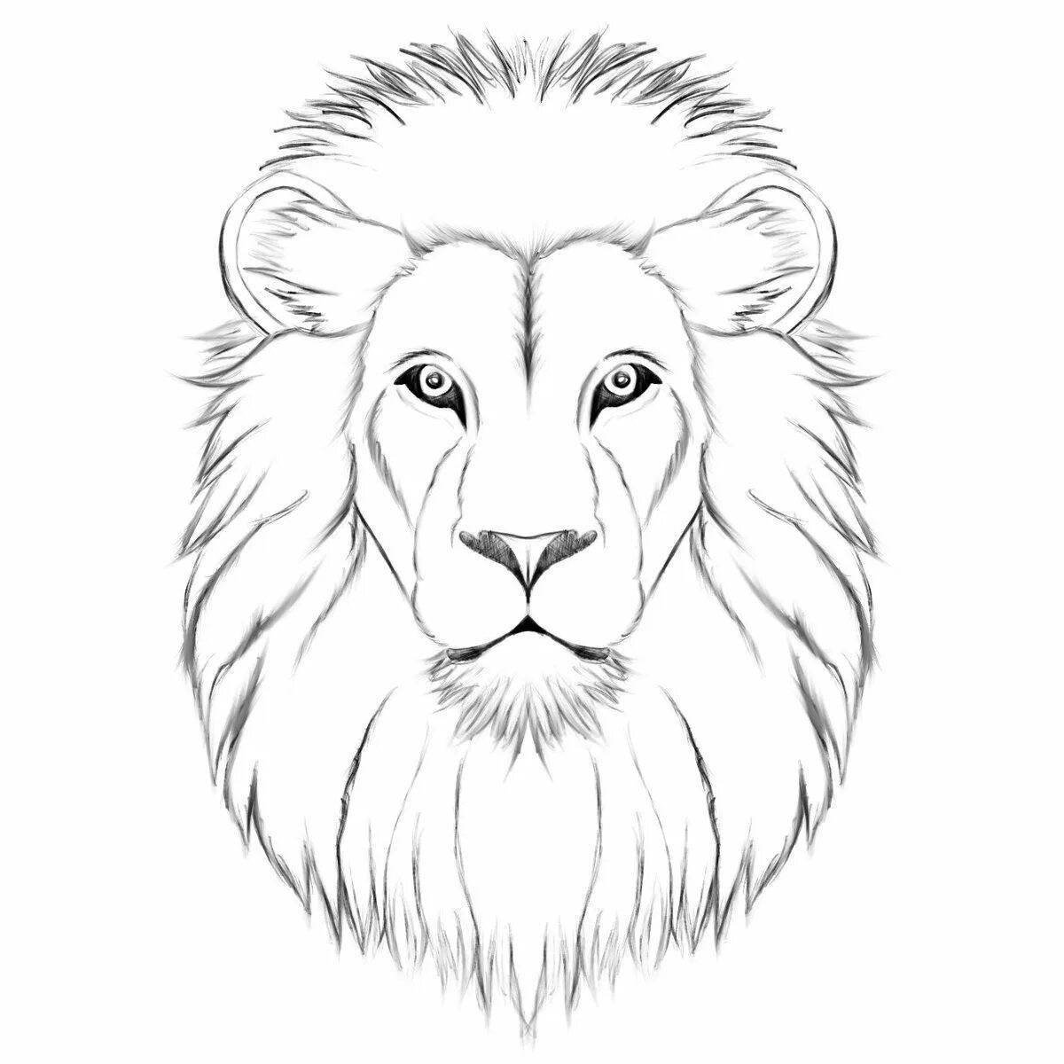 Раскраска голова благородного льва