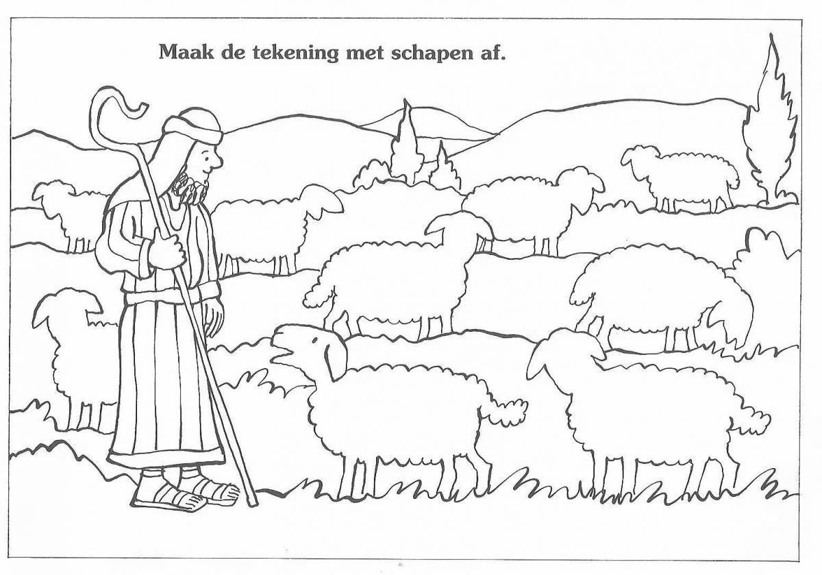 Splendid shepherds christmas coloring book