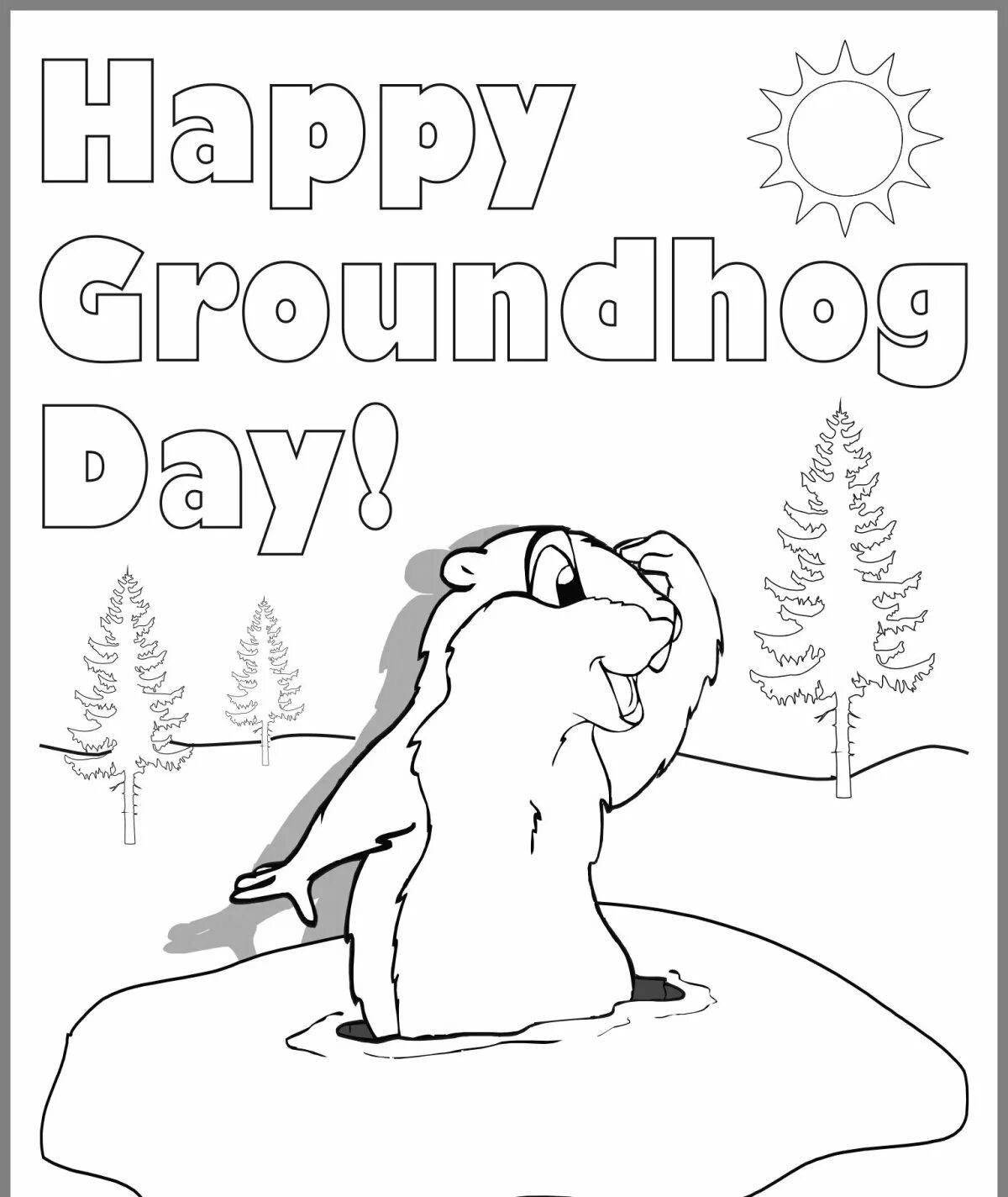 Colorful groundhog day coloring book