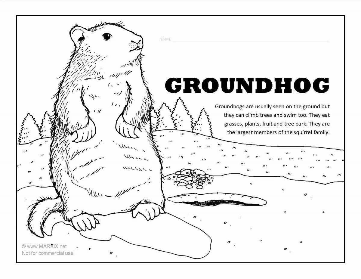 Groundhog day coloring page