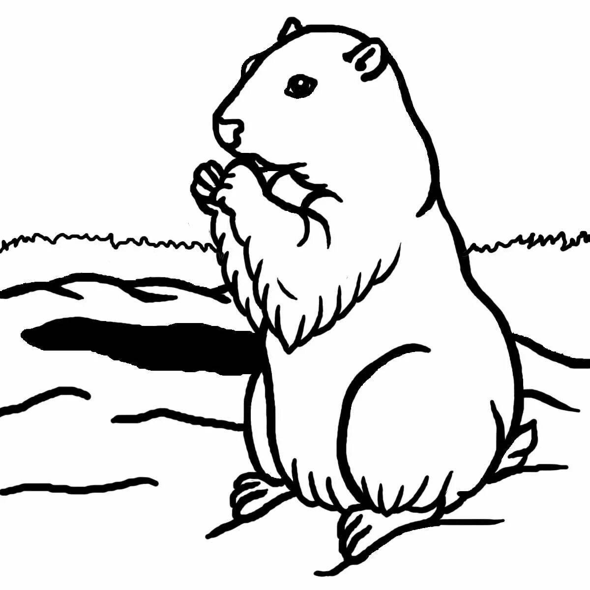 Adorable groundhog day coloring page