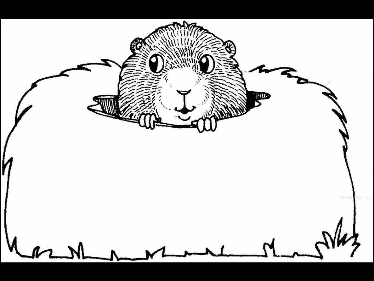 Coloring page wonderful groundhog day