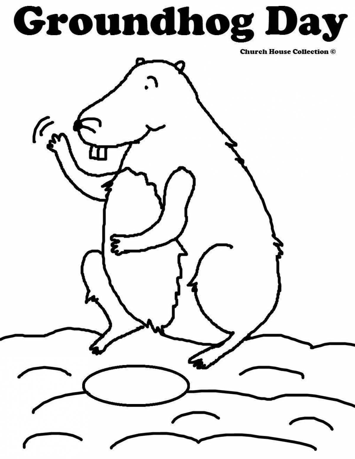 Exciting groundhog day coloring book