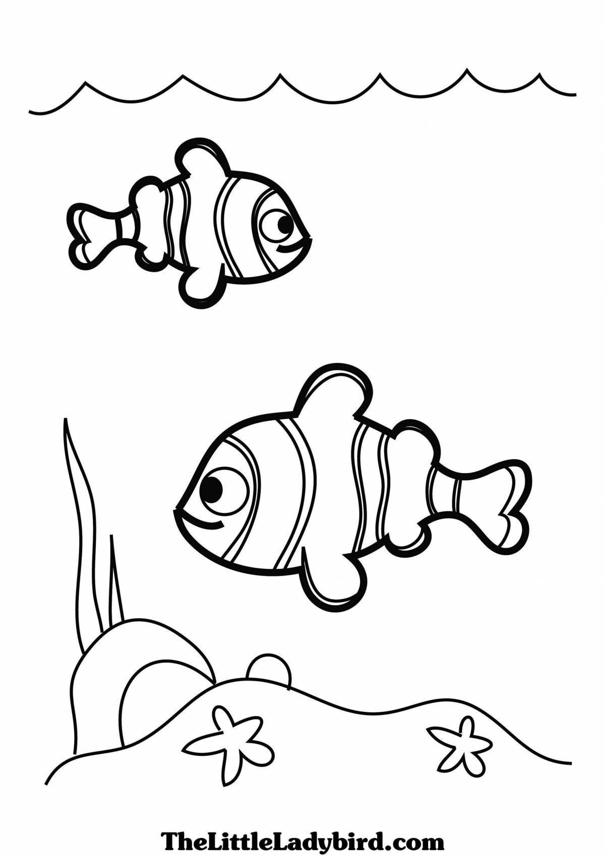 Humorous fish coloring