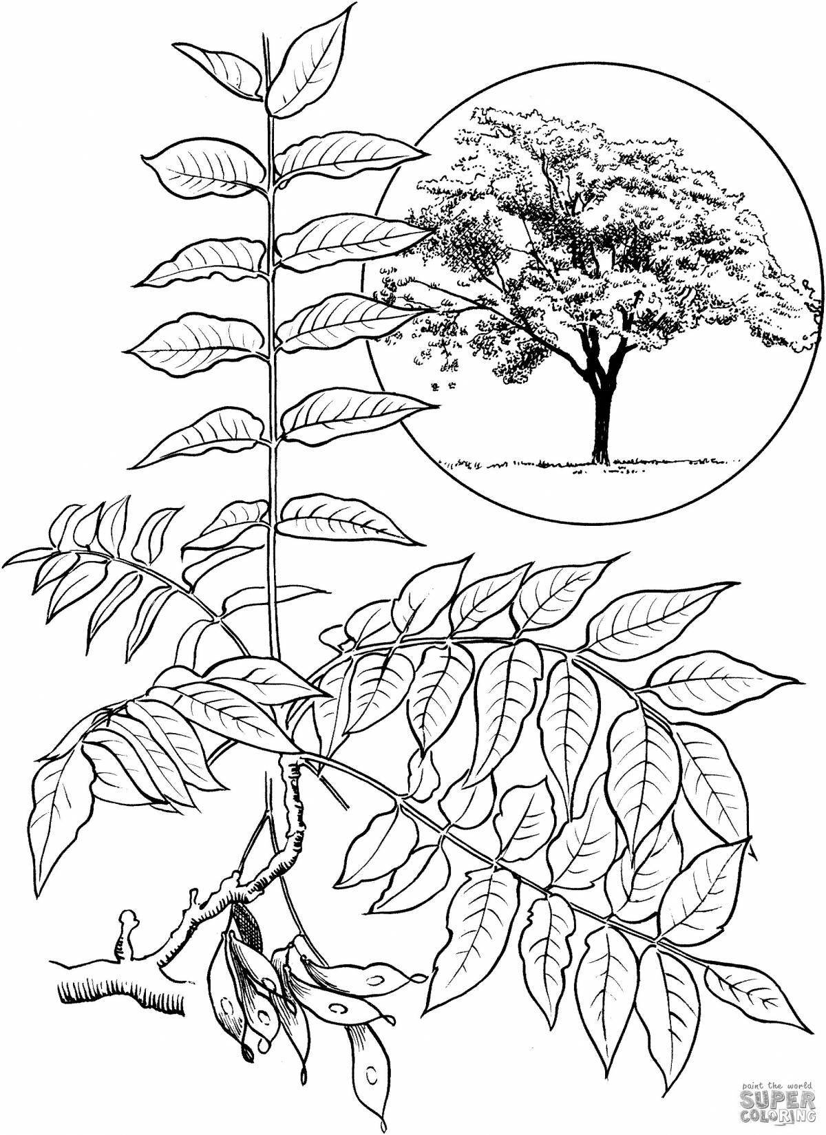 Awesome rowan coloring page