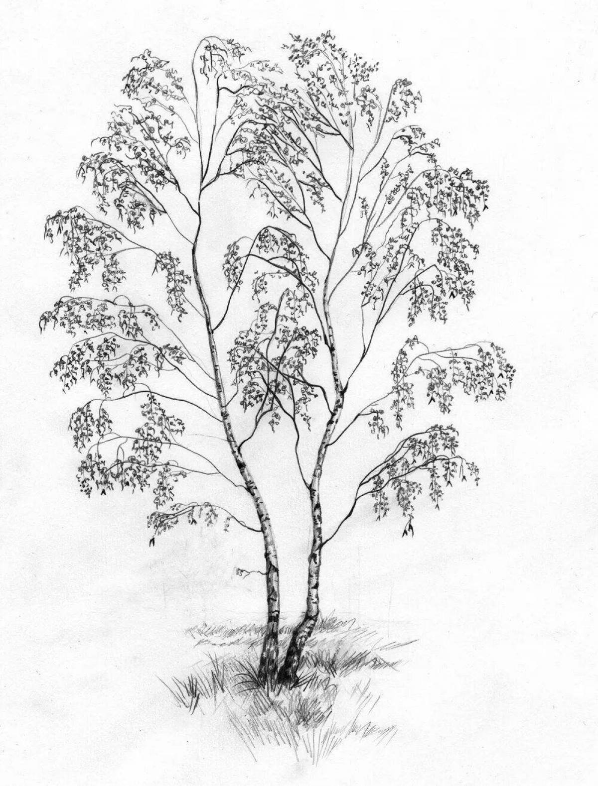 Coloring book shiny rowan