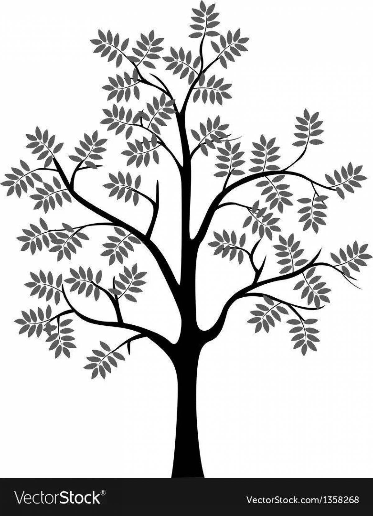 Раскраска дерево рябина - 65 фото