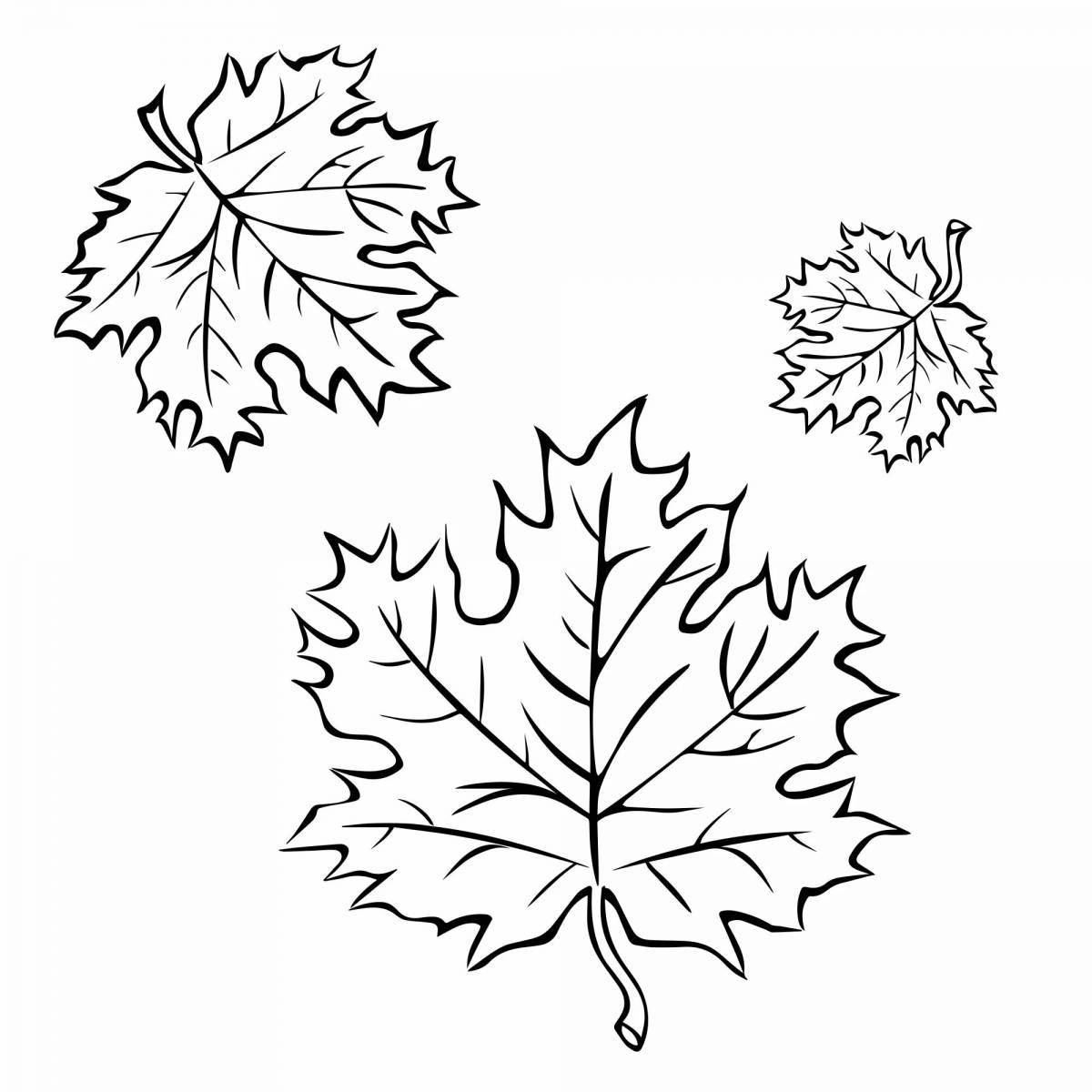 Charming maple coloring page