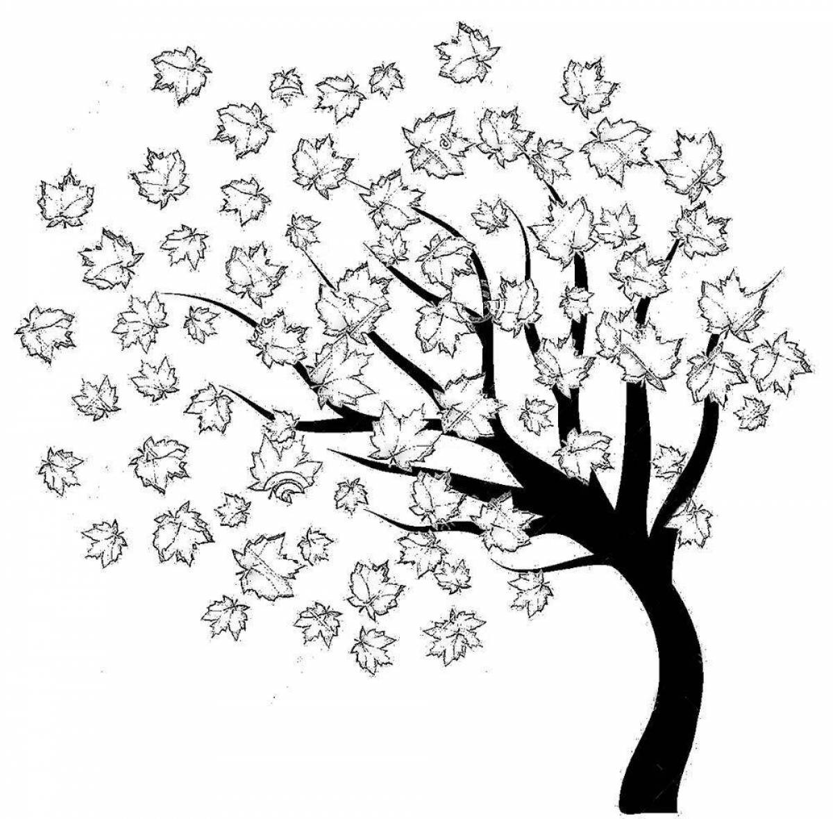 Exquisite maple coloring page