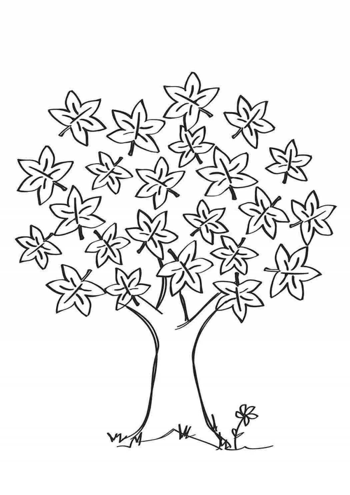 Large maple coloring page