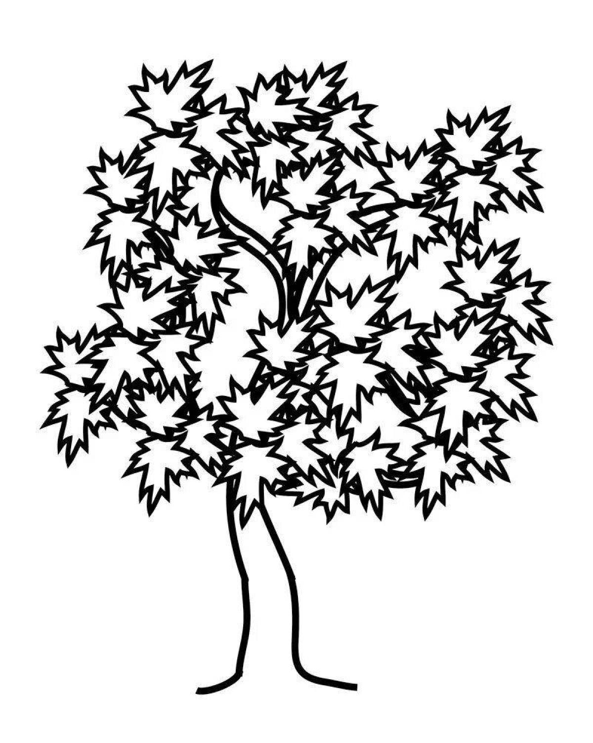 Sublime maple coloring page