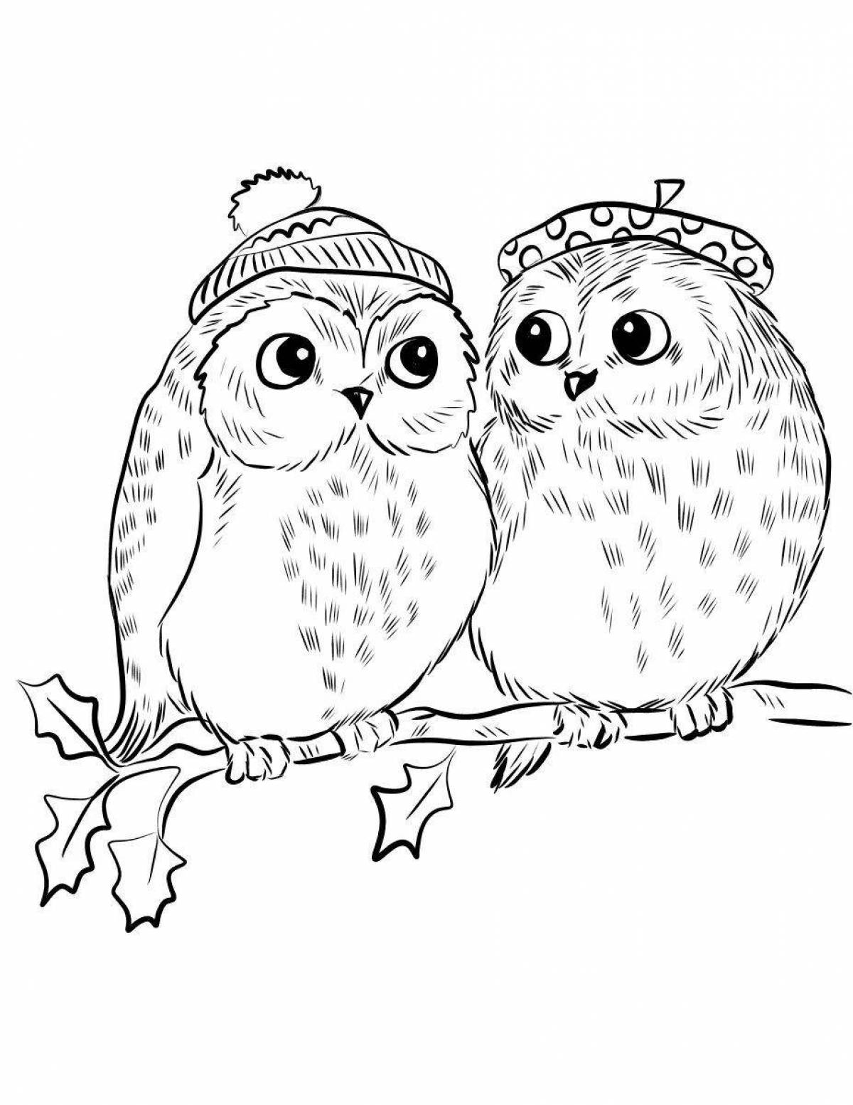 Coloring book nice owl