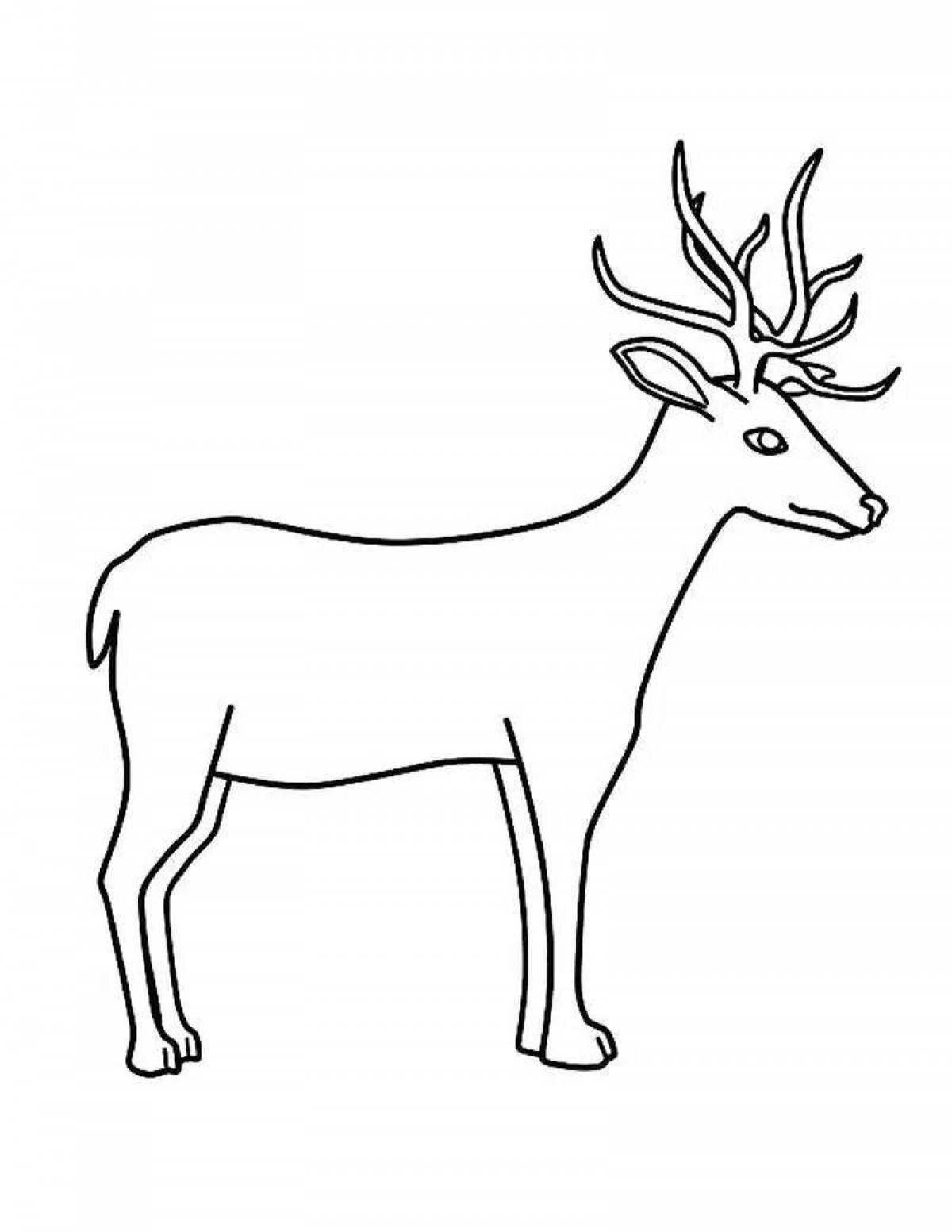 Coloring book bright siberian roe deer