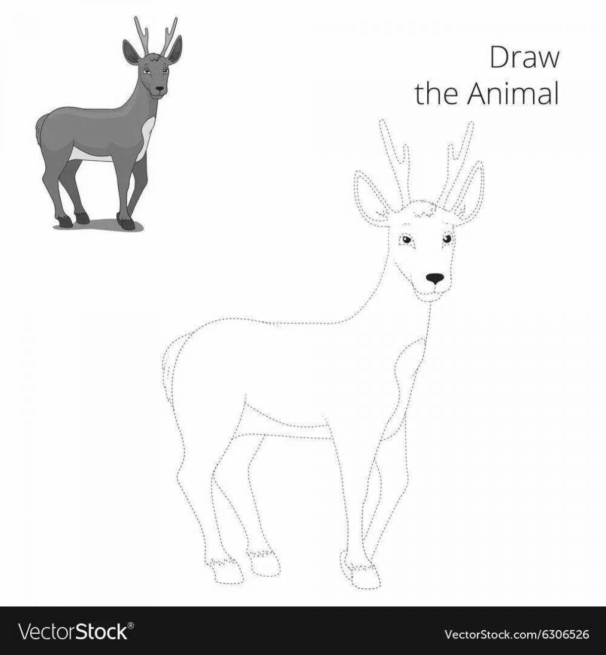Coloring book charming siberian roe deer