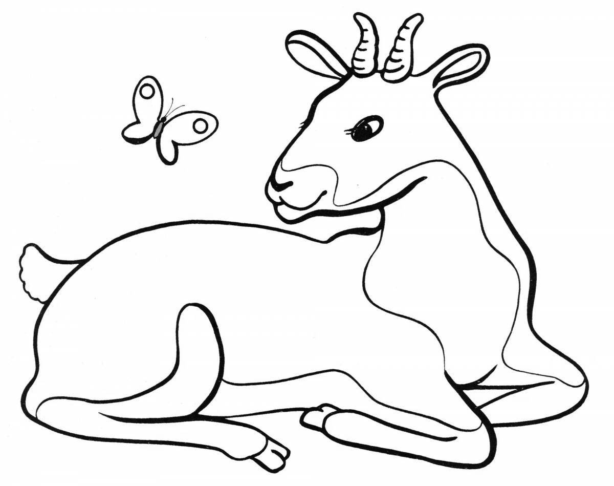 Coloring book magnificent siberian roe deer