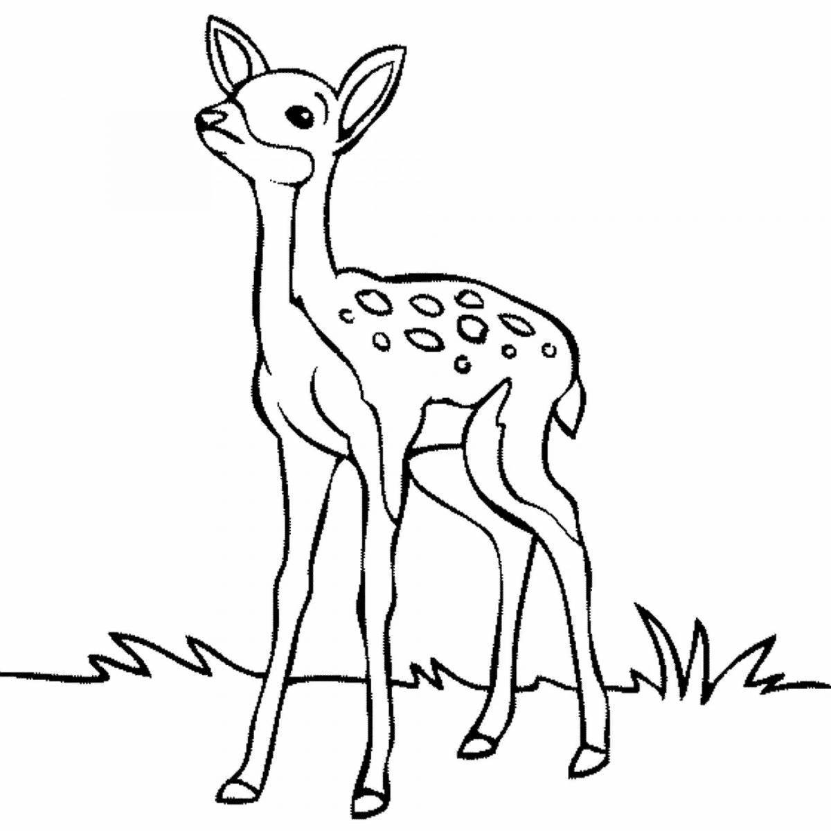 Coloring book nice Siberian roe deer