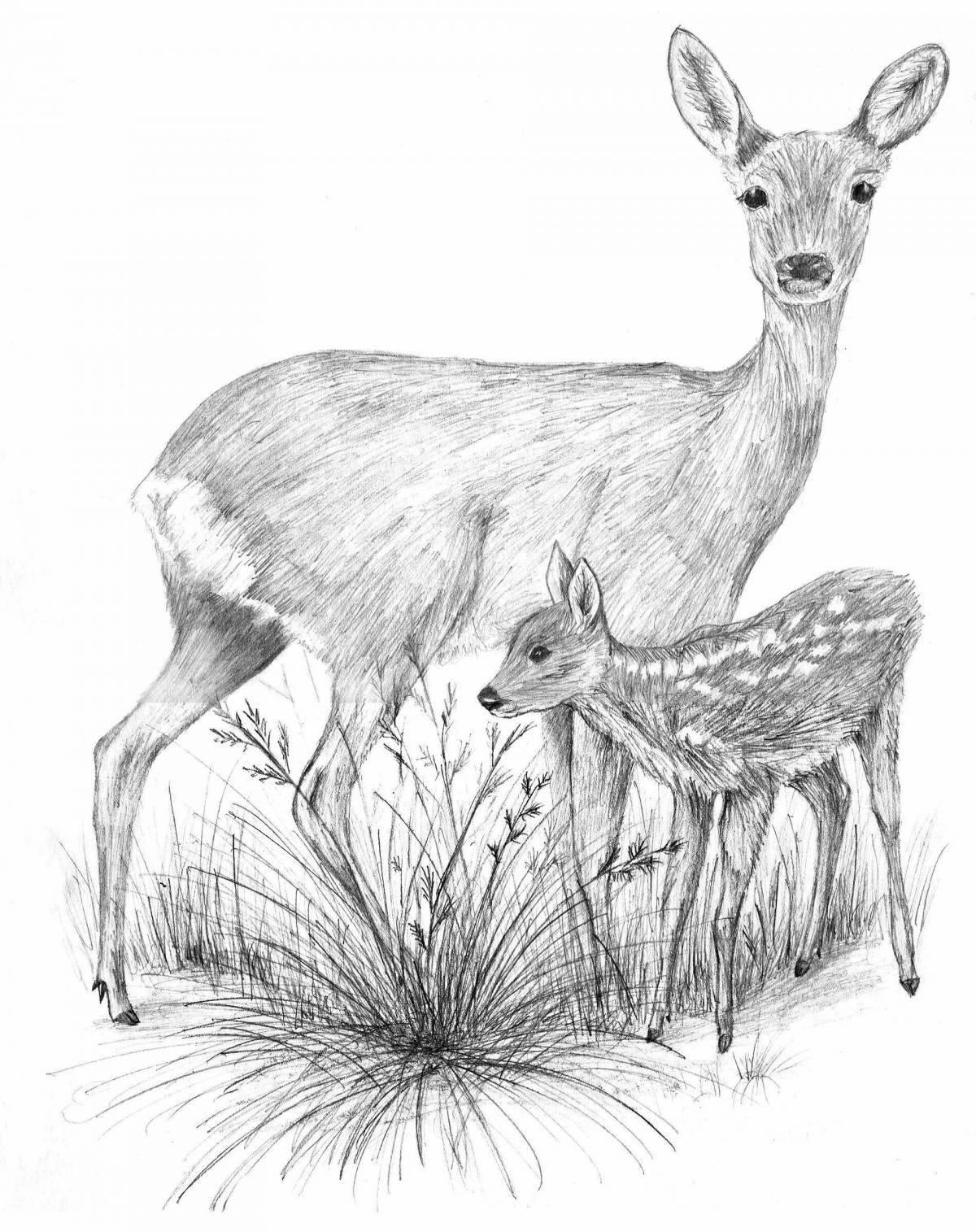 Siberian roe deer coloring page