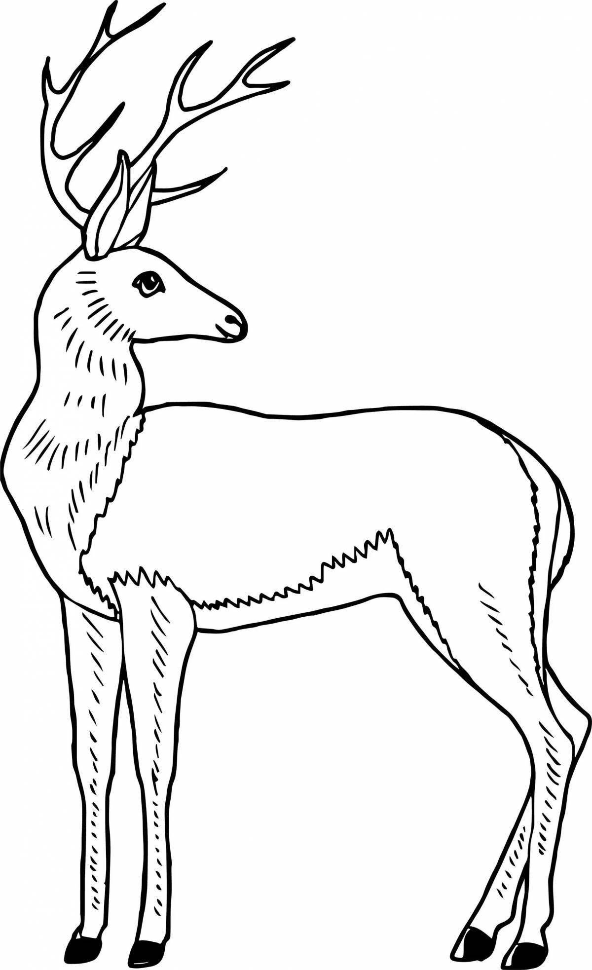 Colouring delightful siberian roe deer