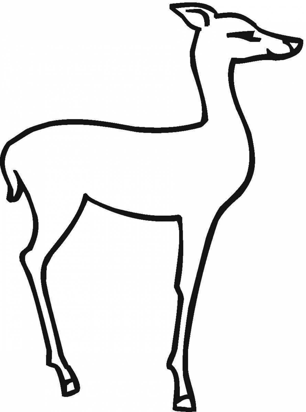 Coloring book Siberian roe deer