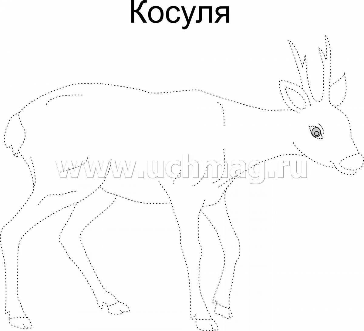 Photo Siberian roe deer #1