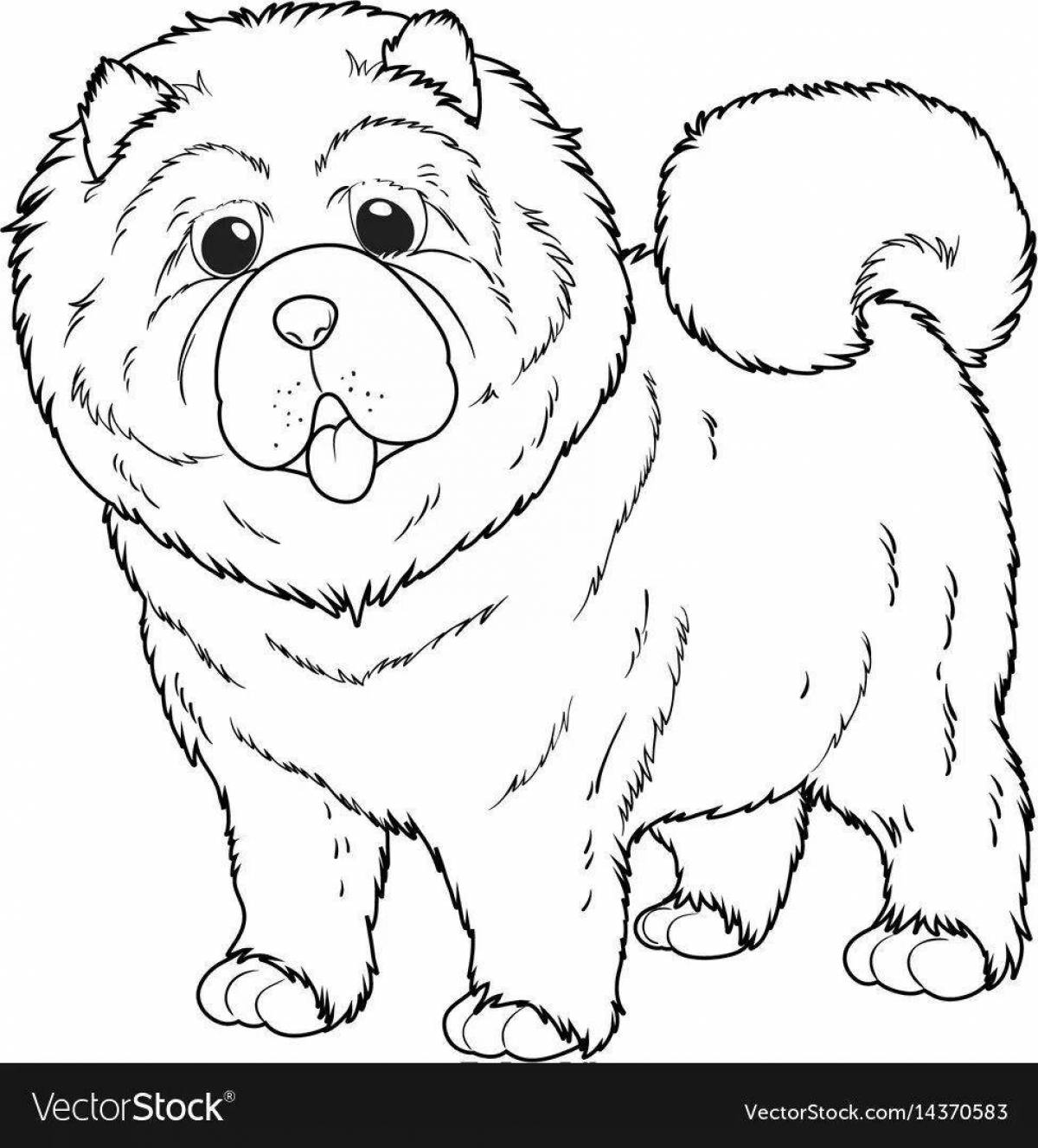 Tibetan mastiff coloring page