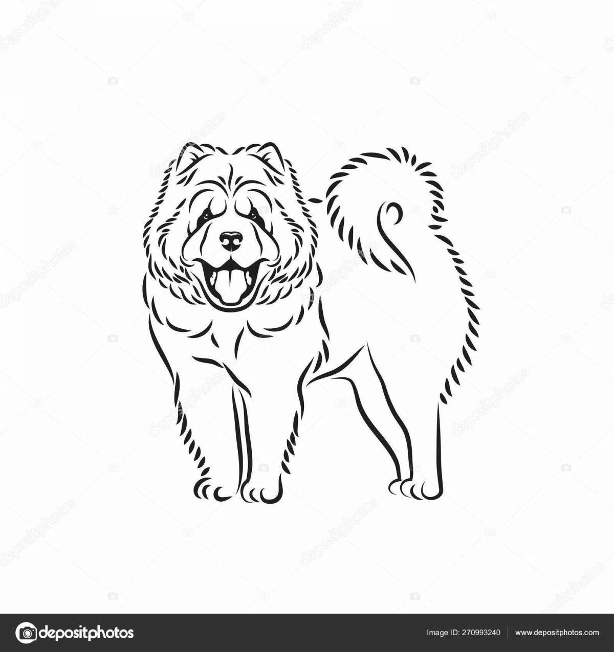 Coloring page funny tibetan mastiff