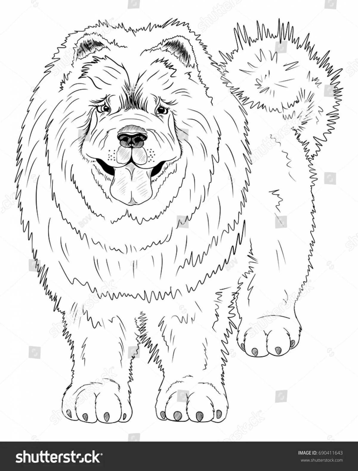 Adorable Tibetan Mastiff coloring page