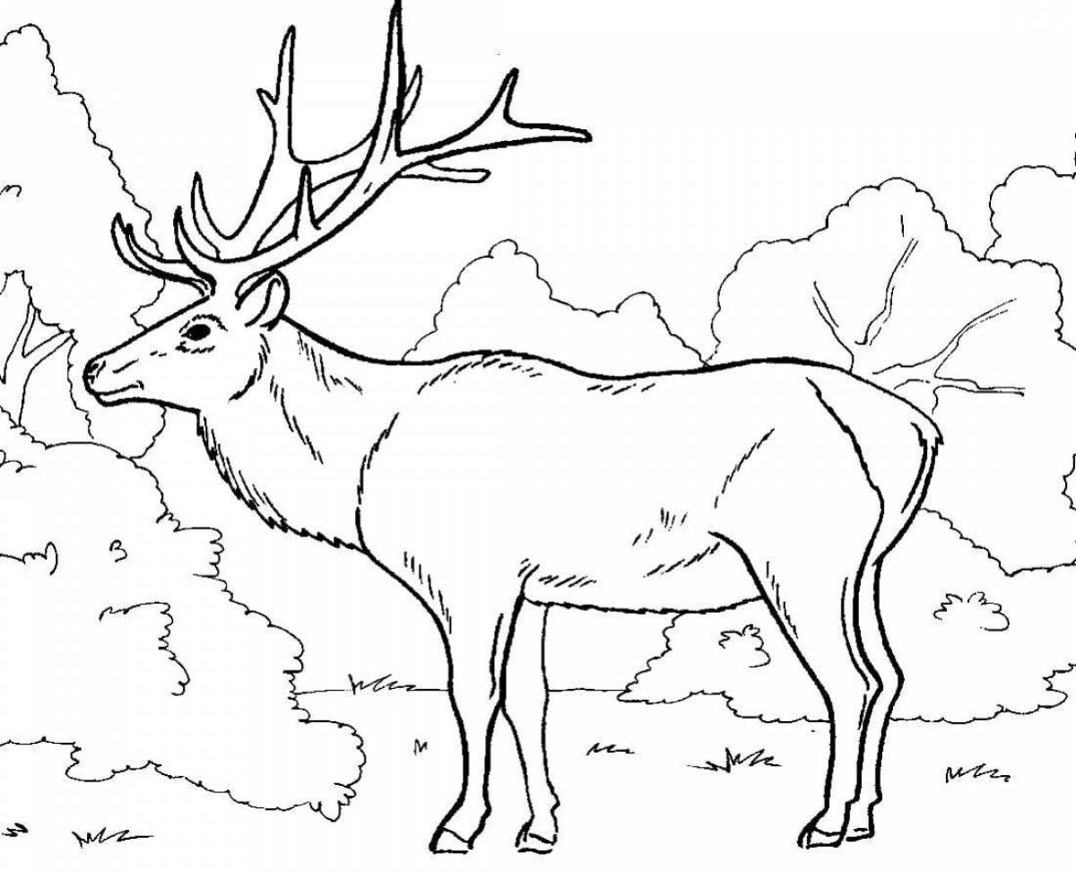 Colorful tundra animal coloring page