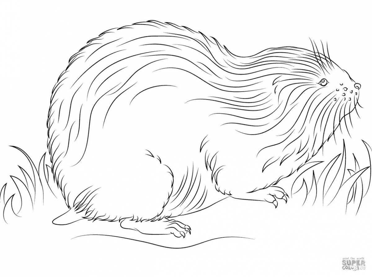 Bright tundra animal coloring page